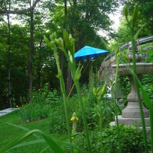 Bright green landscape with young perennial gardens, concrete fountain, blue umbrella.