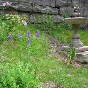 A few plants, two with blooms and a concrete fountain.